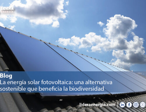 La energía solar fotovoltaica: una alternativa sostenible que beneficia la biodiversidad