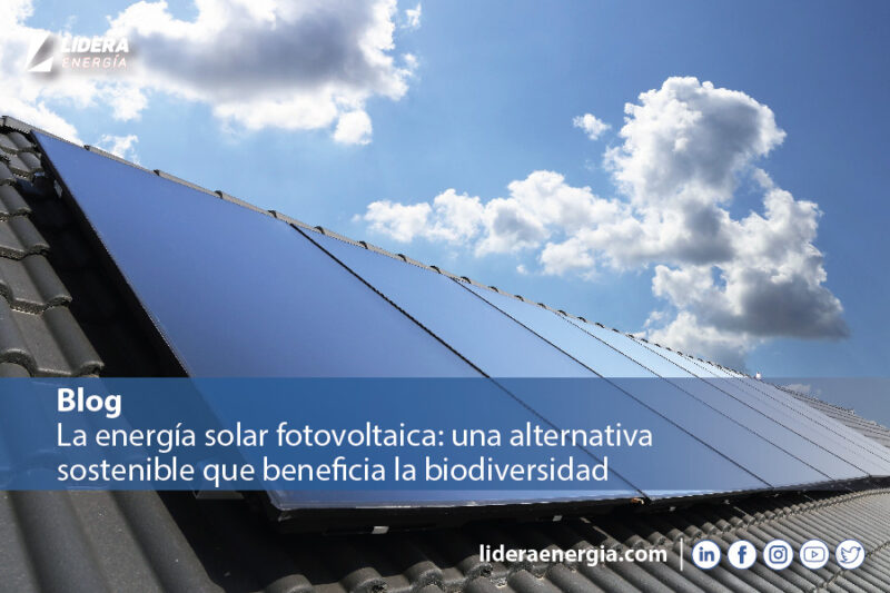 Cuál es el impacto ambiental de la energía solar fotovoltaica? - Blog de  energía solar